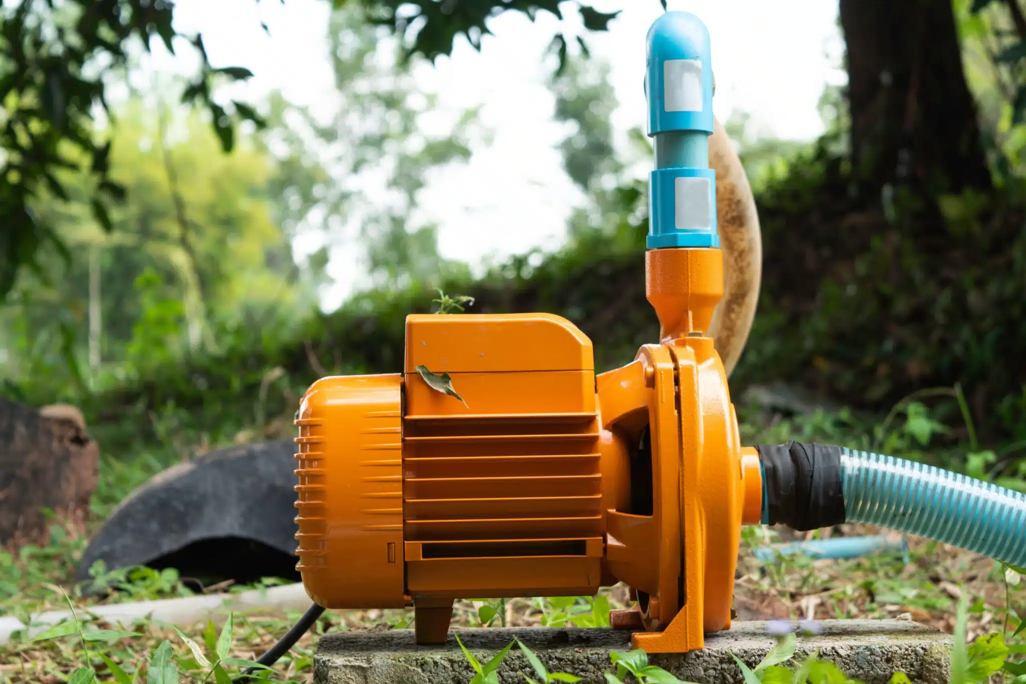 Comment choisir une pompe de surface efficace pour l'arrosage de votre jardin