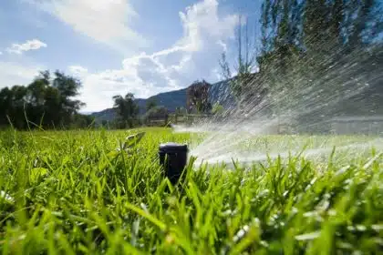 Comment choisir une pompe de surface efficace pour l'arrosage de votre jardin